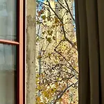 Appartamento La Magie De Carnot Meublé De Tourisme 3 étoiles *