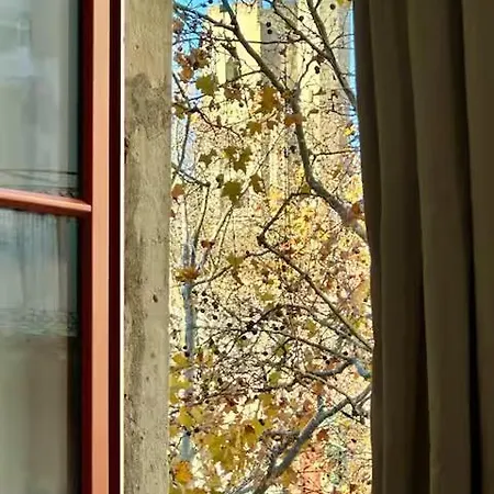 Apartamento La Magie De Carnot Meublé De Tourisme 3 étoiles *