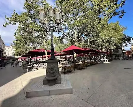 La Magie De Carnot Meublé De Tourisme 3 étoiles Carcasona