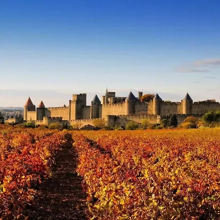La Magie De Carnot Meublé De Tourisme 3 étoiles