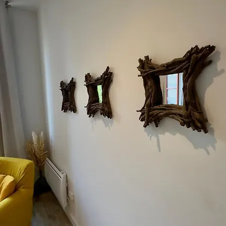Appartement La Magie De Carnot Meublé De Tourisme 3 étoiles